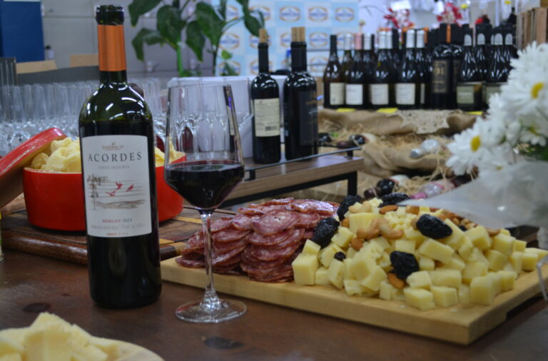 Queijos, vinhos e espumantes: como acertar na harmonização